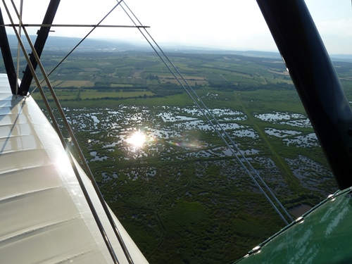 Stearman